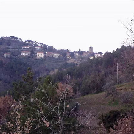 La Casa Di Pietra Gasthof San Baronto